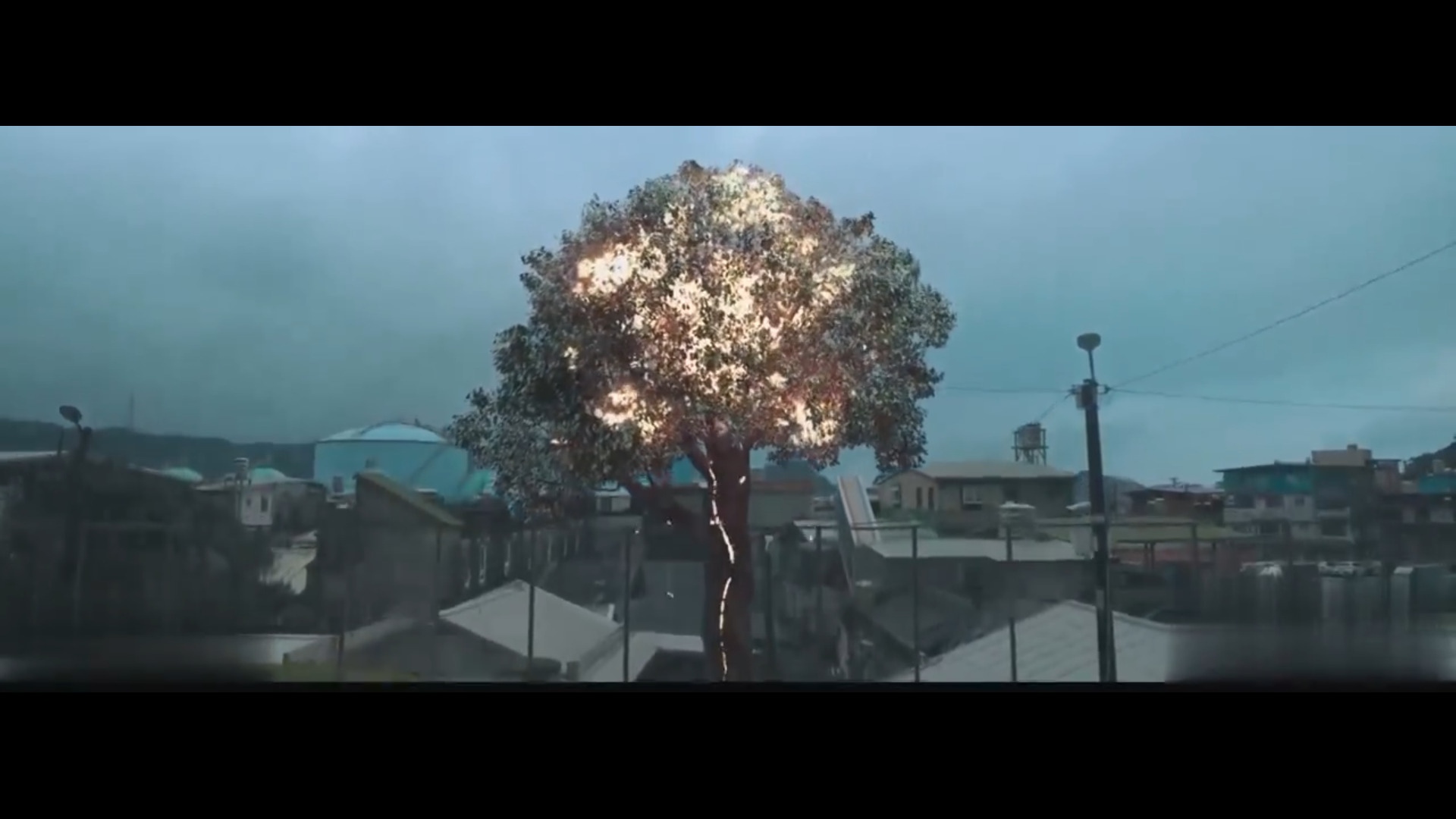 月老剧照的剧照