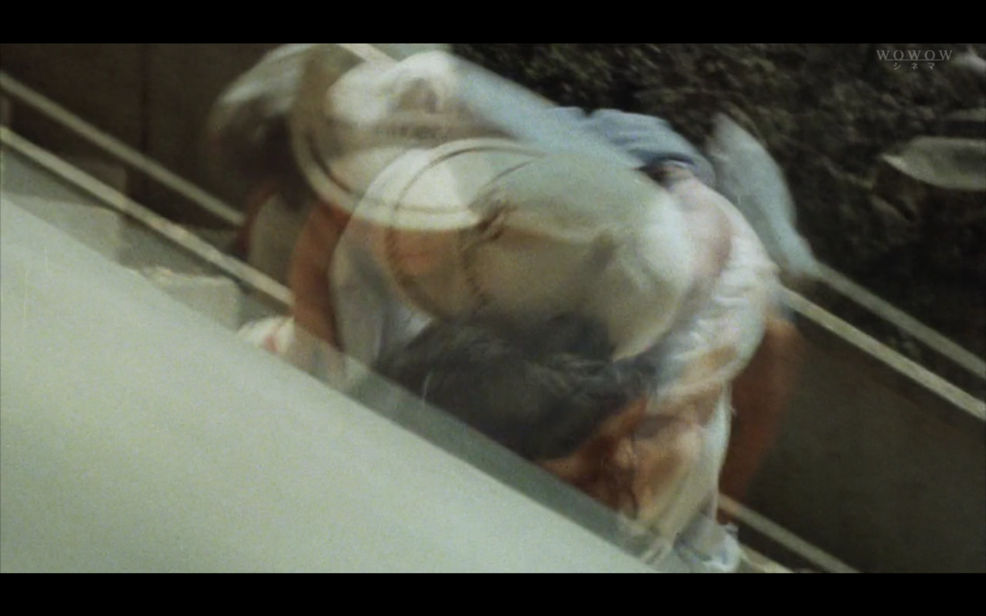 转校生剧照的剧照