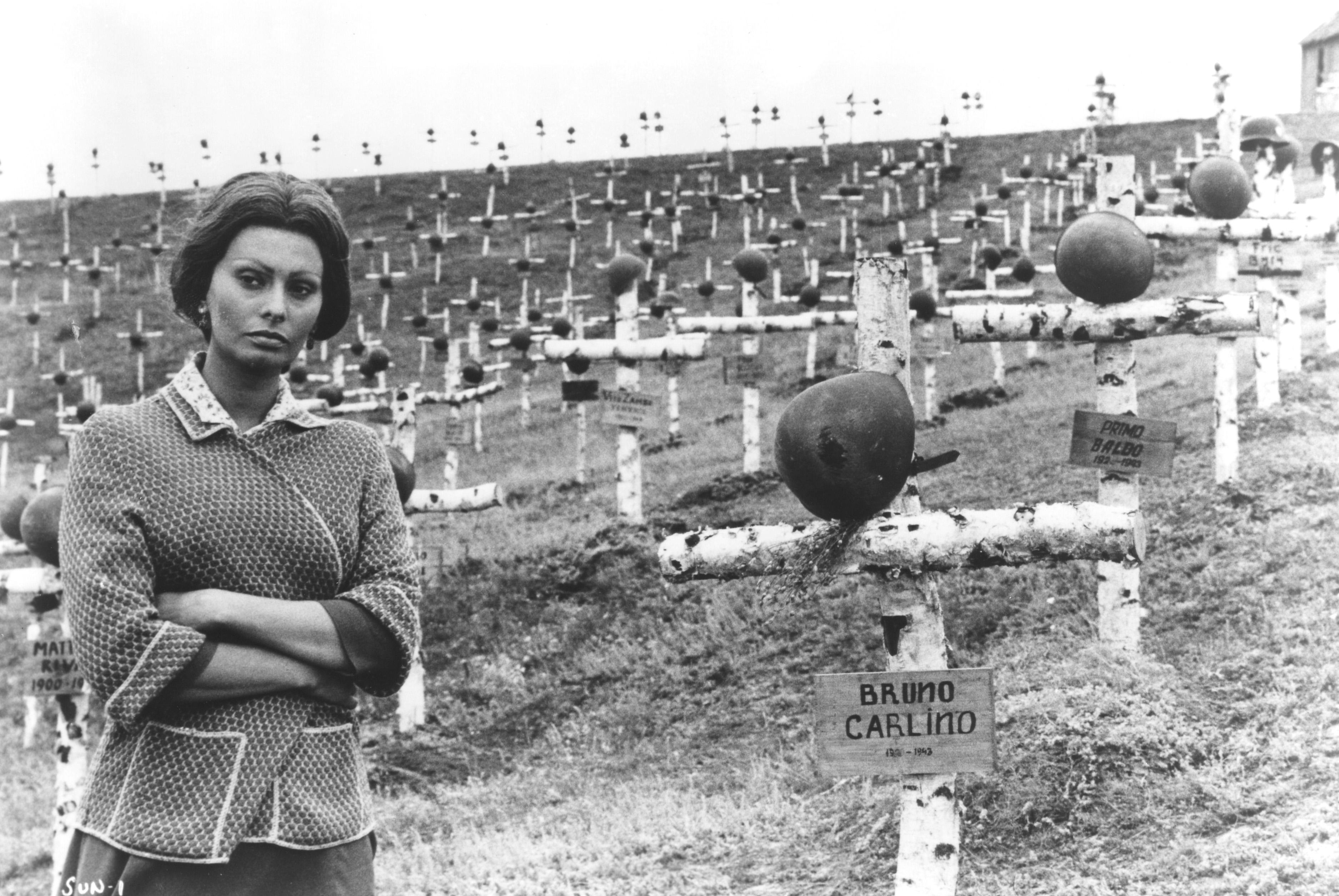 第二个月亮剧照的剧照