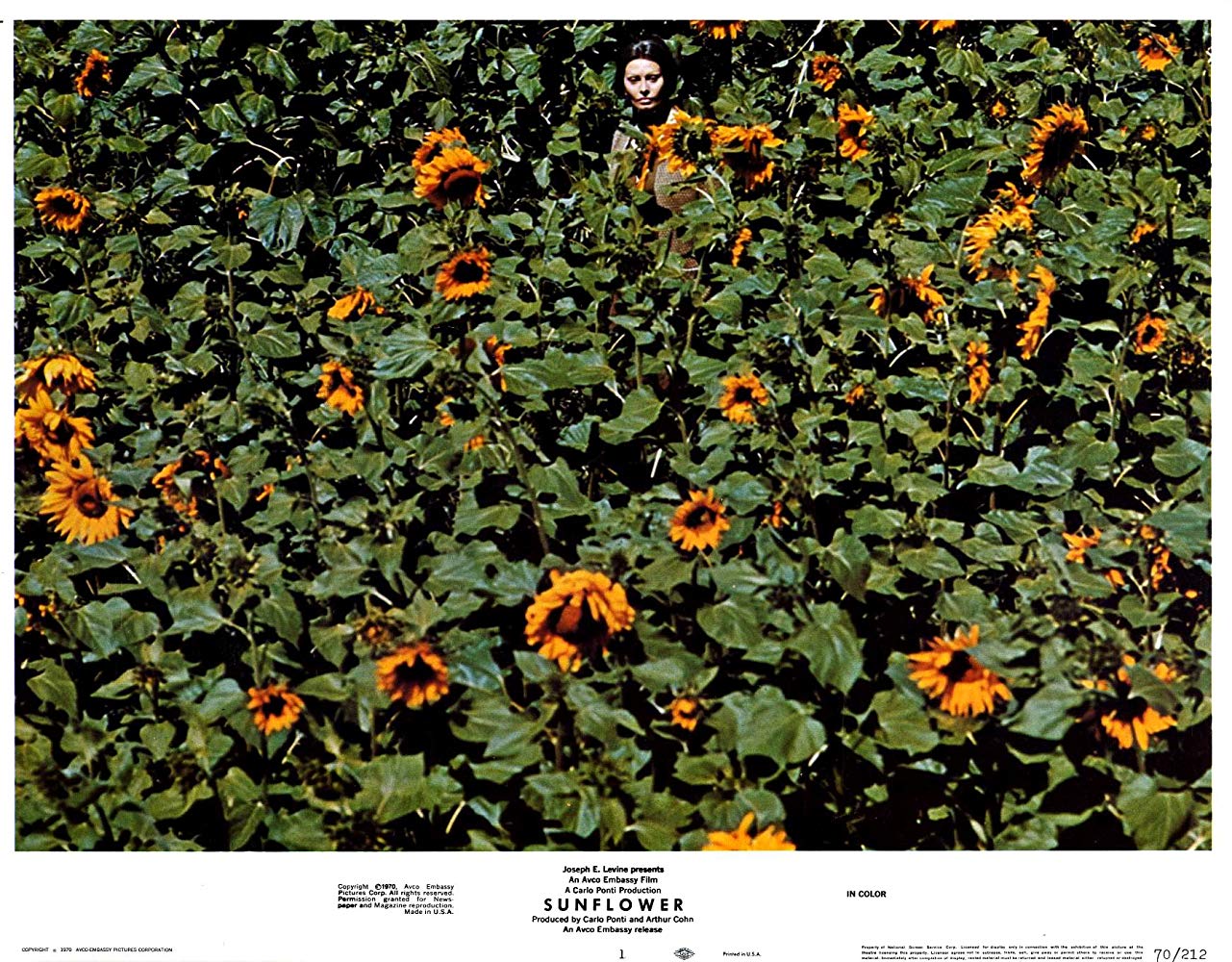 第二个月亮剧照的剧照