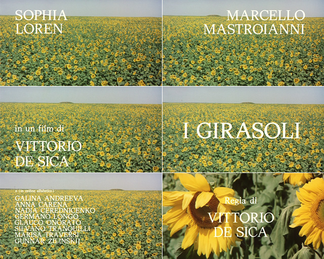 第二个月亮剧照的剧照