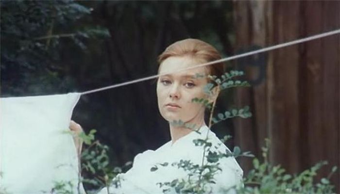 第二个月亮剧照的剧照