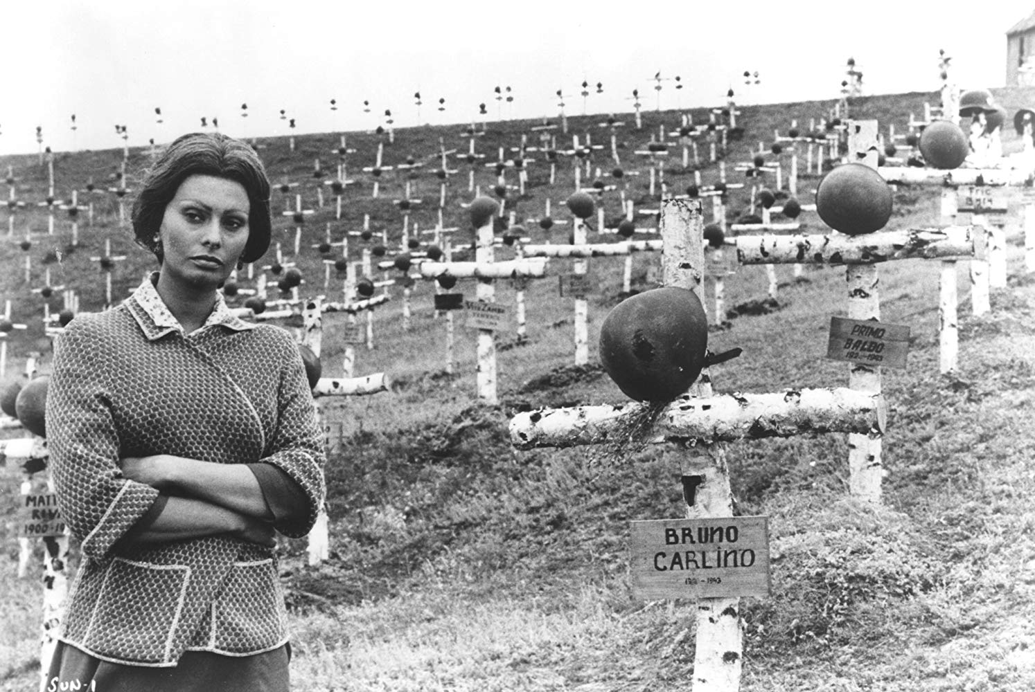 第二个月亮剧照的剧照