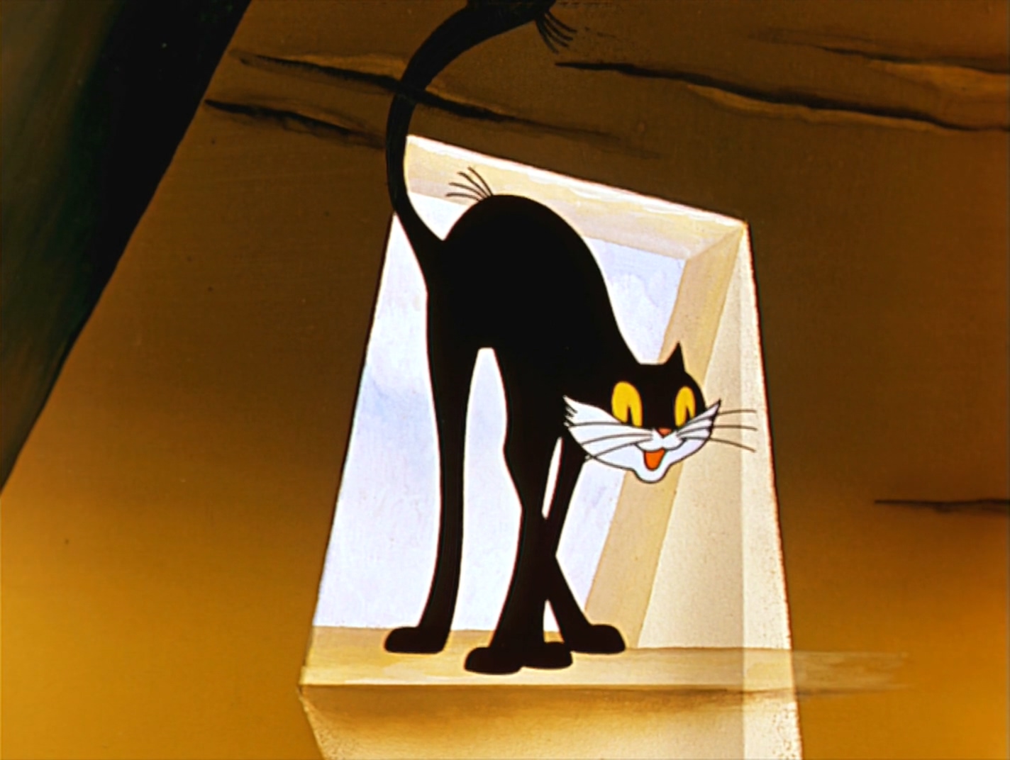 一只叫汪汪的小猫剧照的剧照