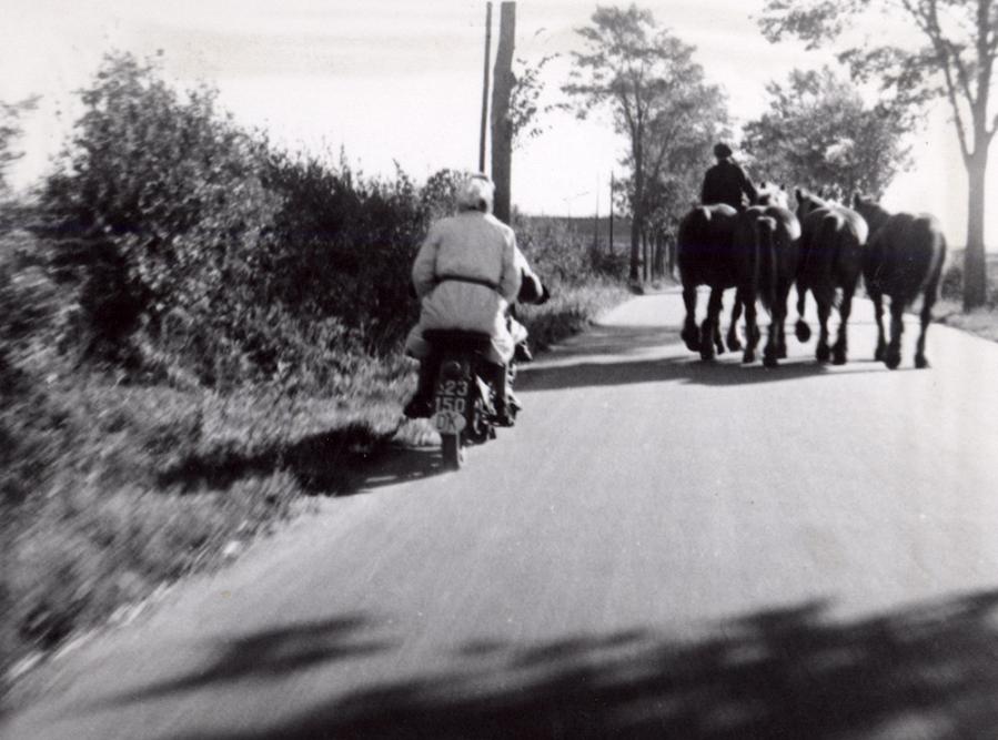 赶船剧照的剧照