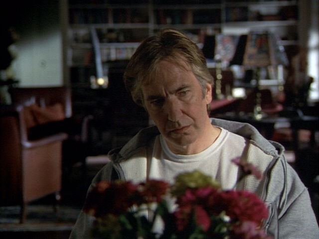 黑色港湾剧照的剧照