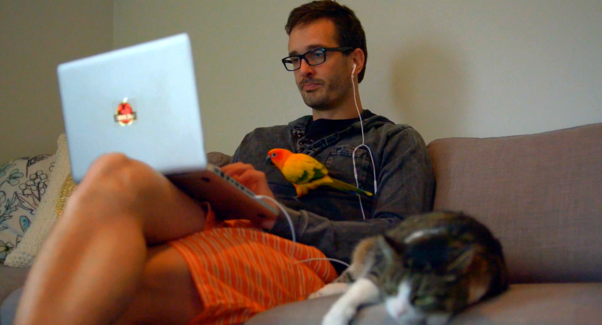 被挠剧照的剧照