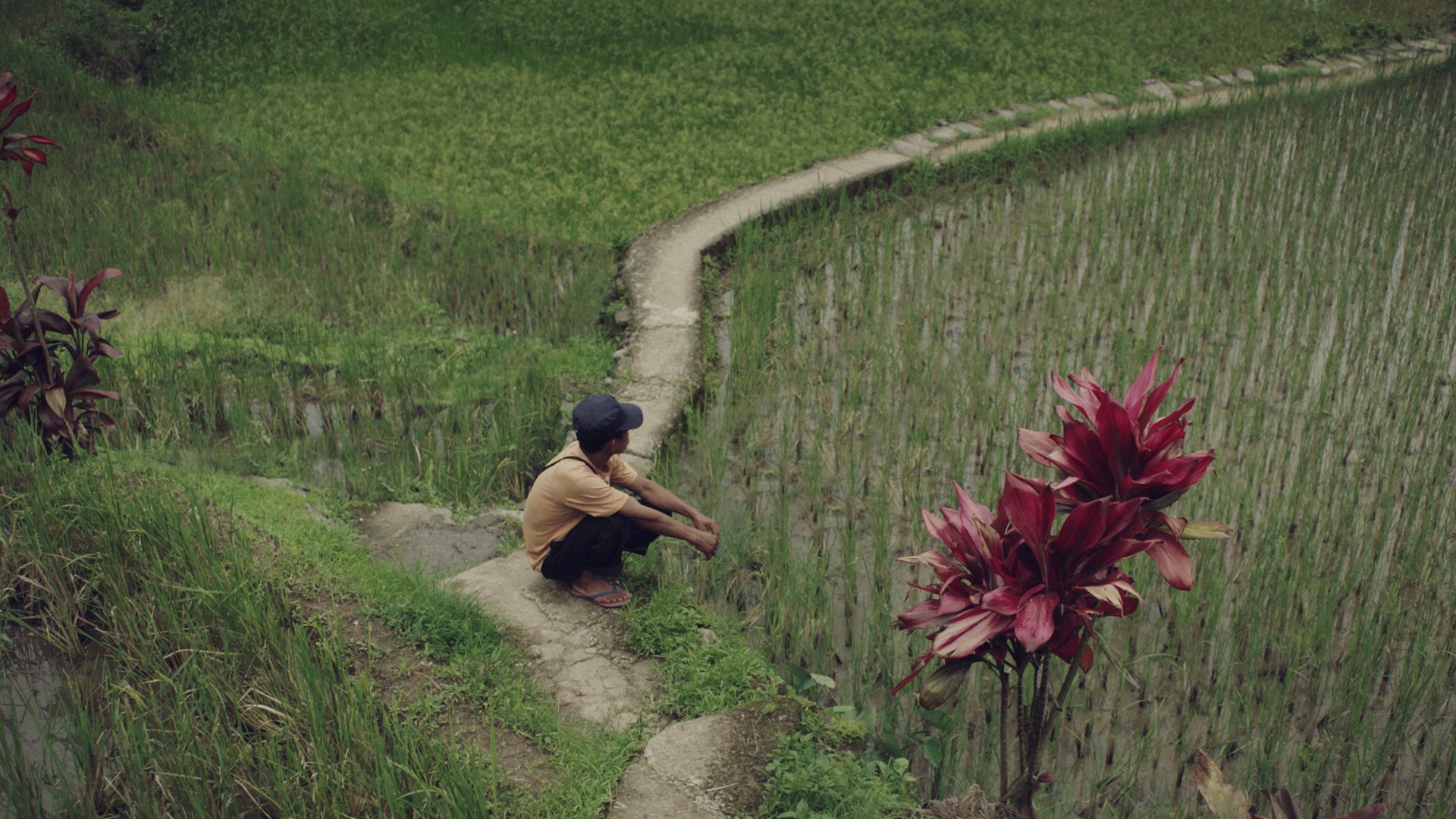 擦窗男孩也想要一艘潜水艇剧照的剧照
