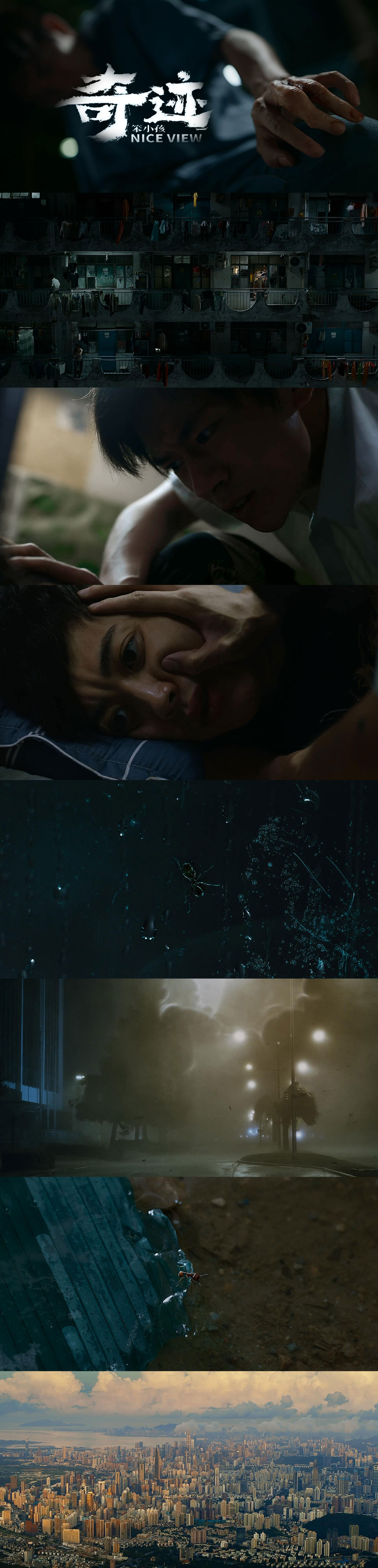 奇迹·笨小孩剧照的剧照