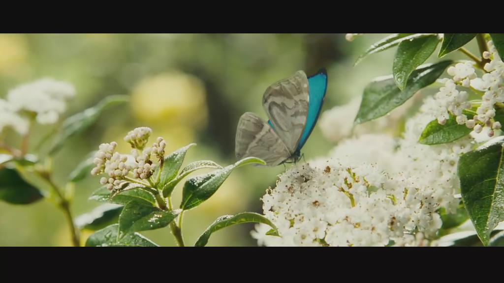 再生门剧照的剧照