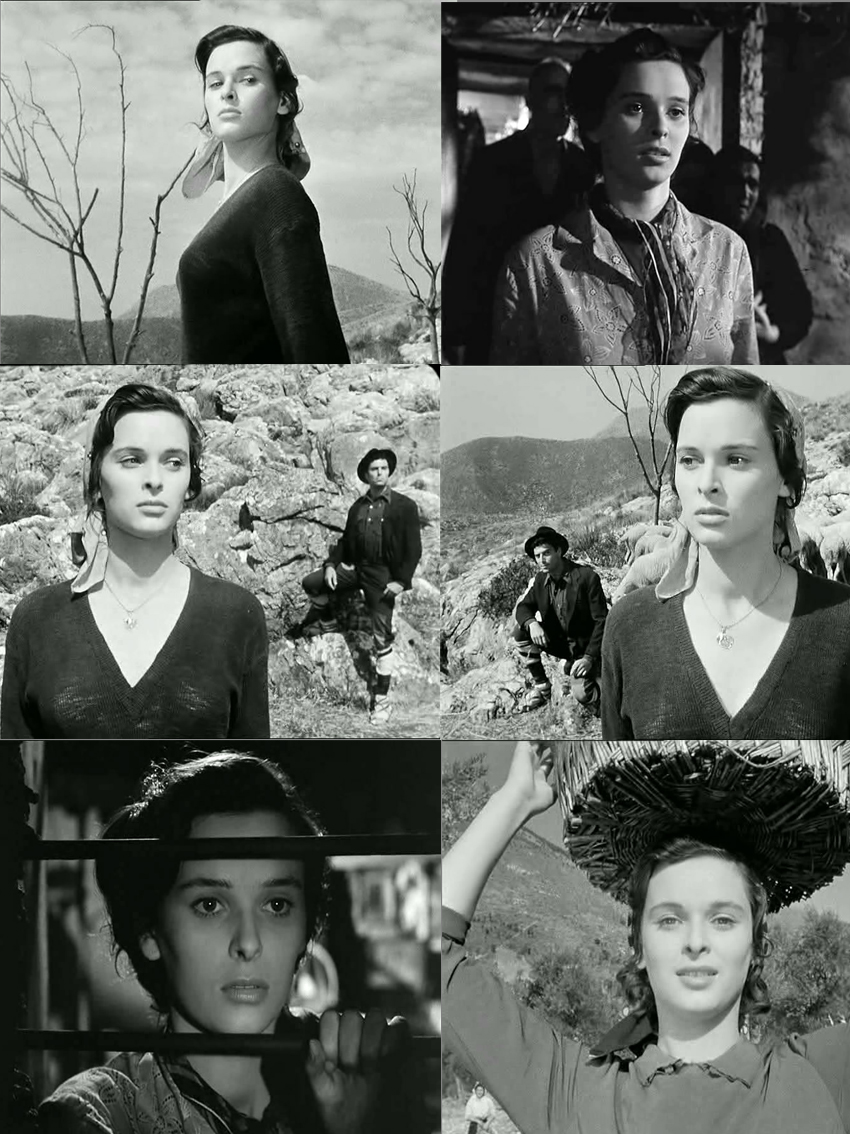 橄榄树下无和平剧照的剧照