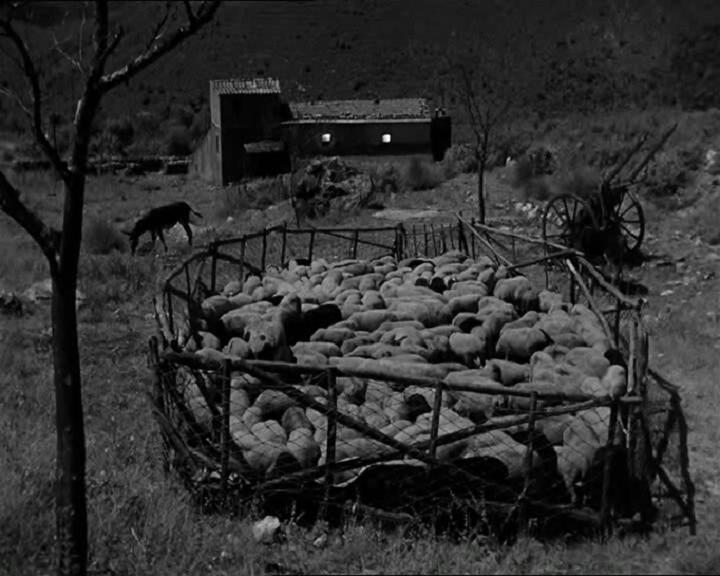 橄榄树下无和平剧照的剧照