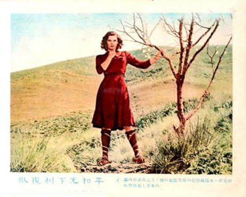 橄榄树下无和平剧照的剧照