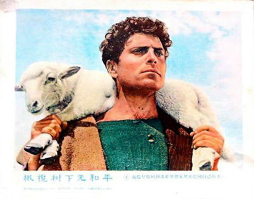 橄榄树下无和平剧照的剧照