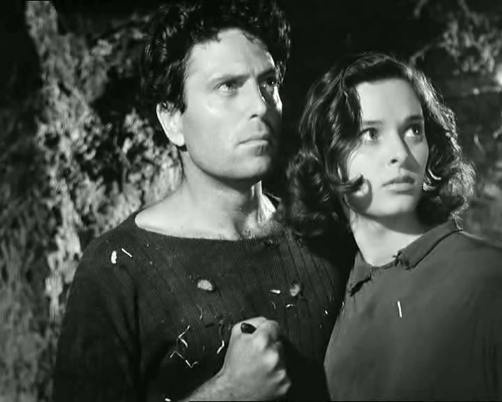 橄榄树下无和平剧照的剧照