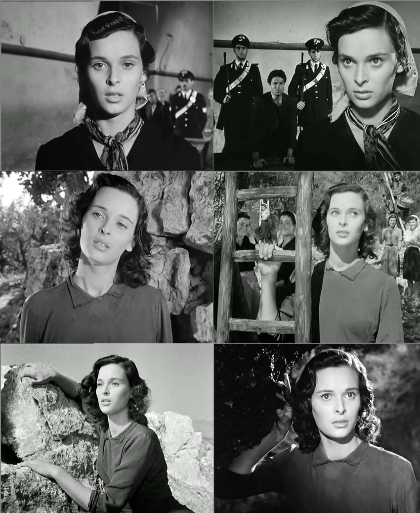 橄榄树下无和平剧照的剧照