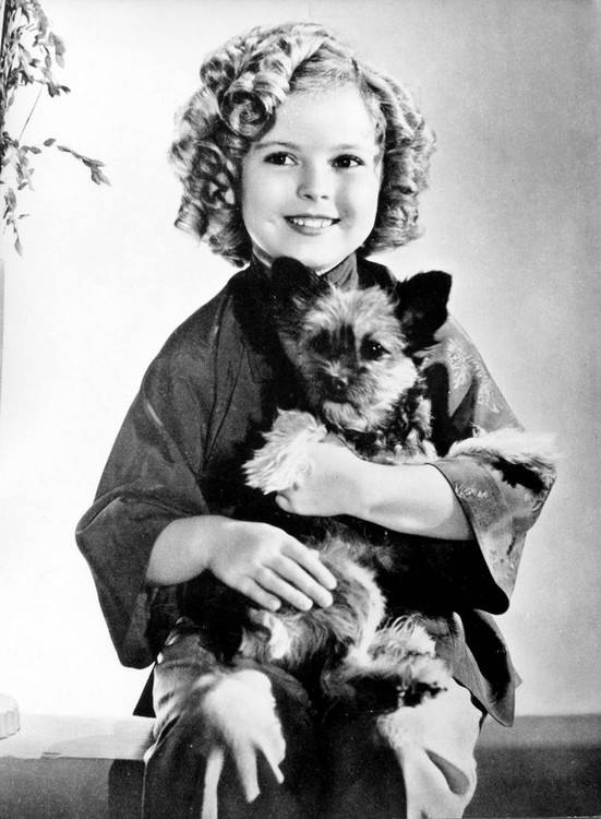 偷渡者剧照的剧照