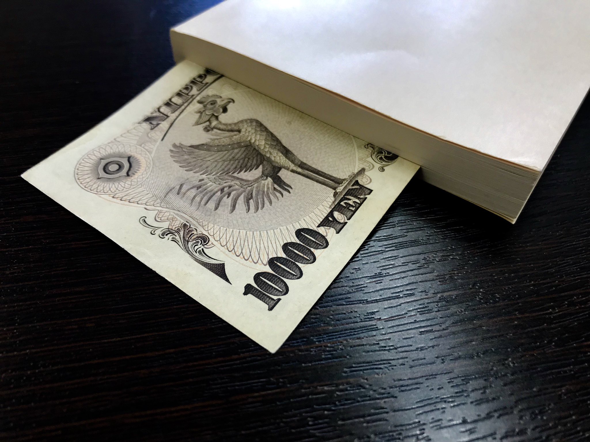 鸠的击退法剧照的剧照