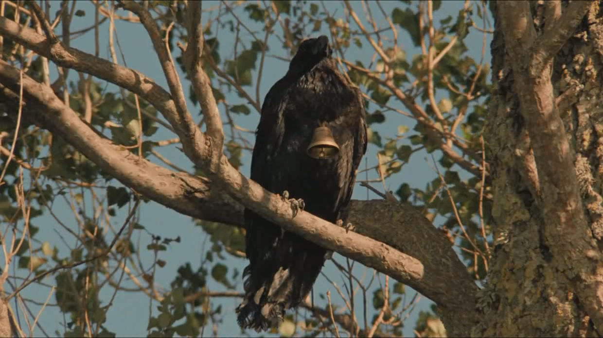 卡奥斯剧照的剧照