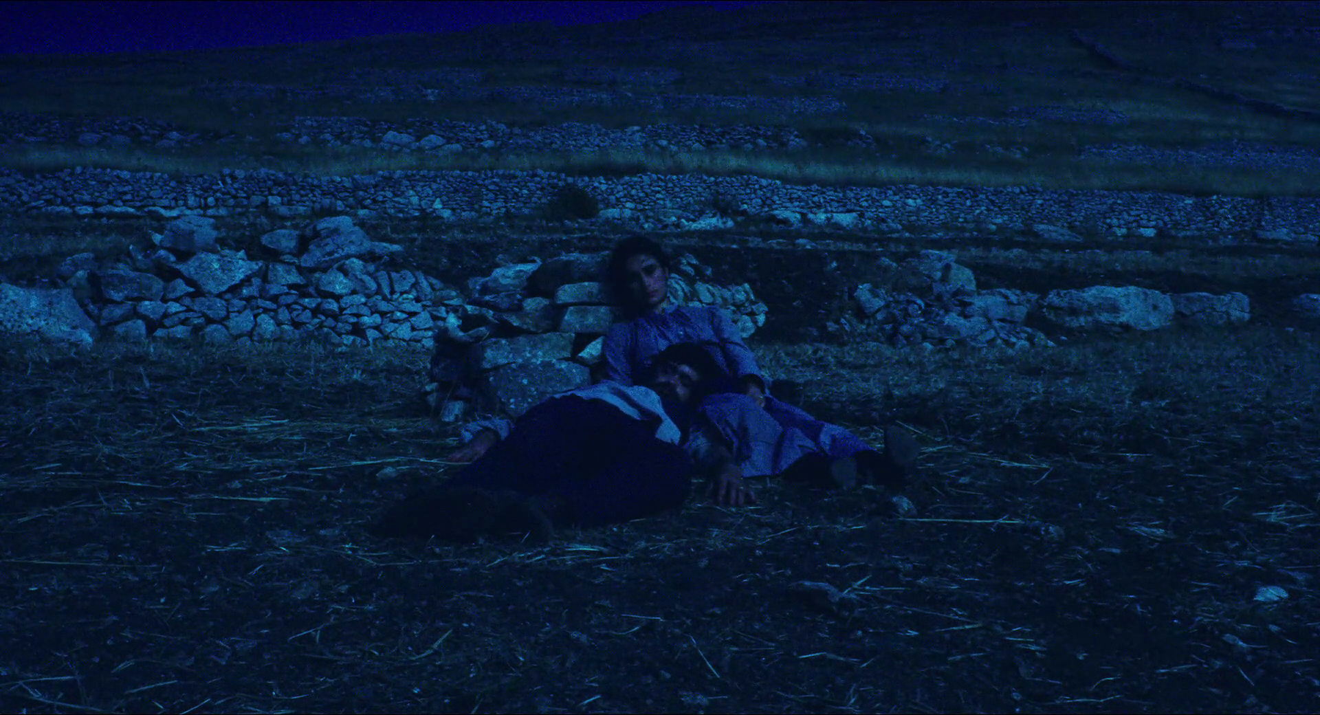 卡奥斯剧照的剧照