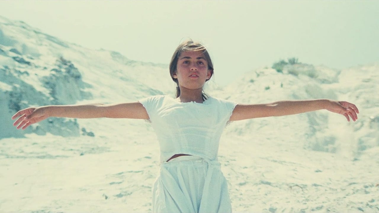 卡奥斯剧照的剧照