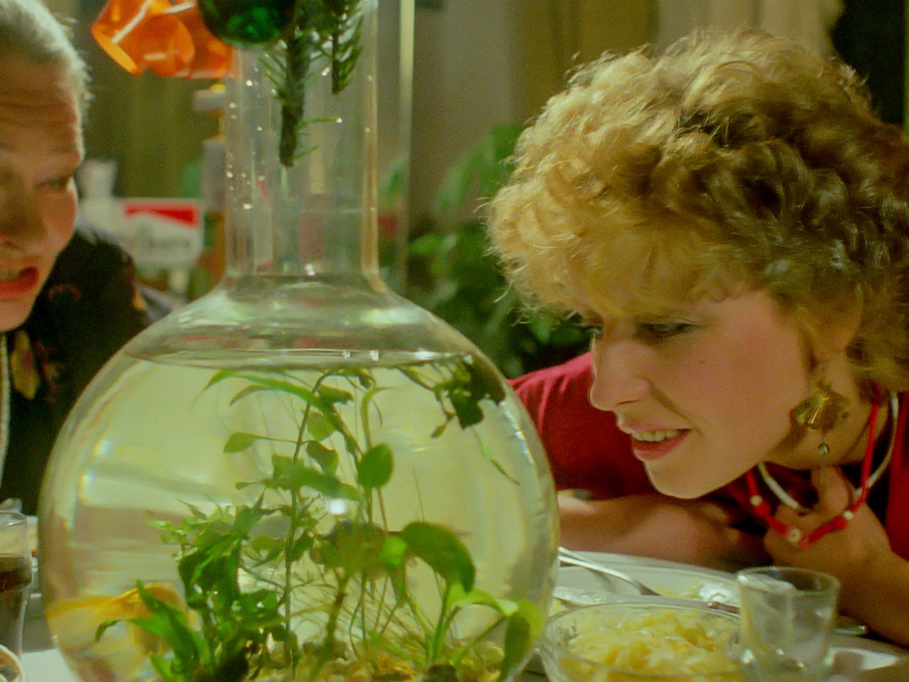 我妈妈的情人们剧照的剧照