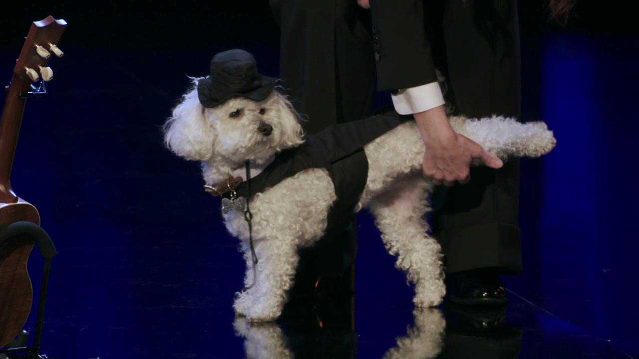 Summer of 69: No Apostrophe剧照的剧照