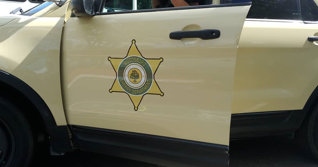 惊声尖叫5剧照的剧照