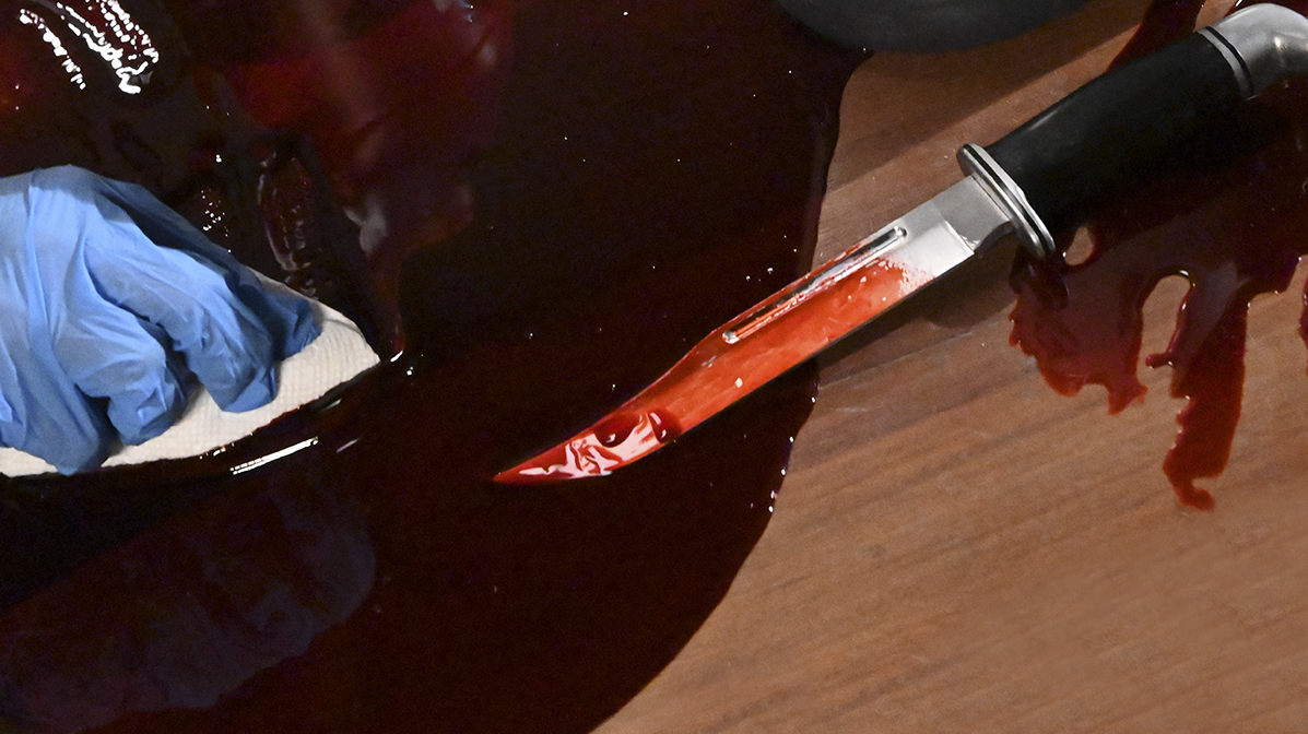 惊声尖叫5剧照的剧照