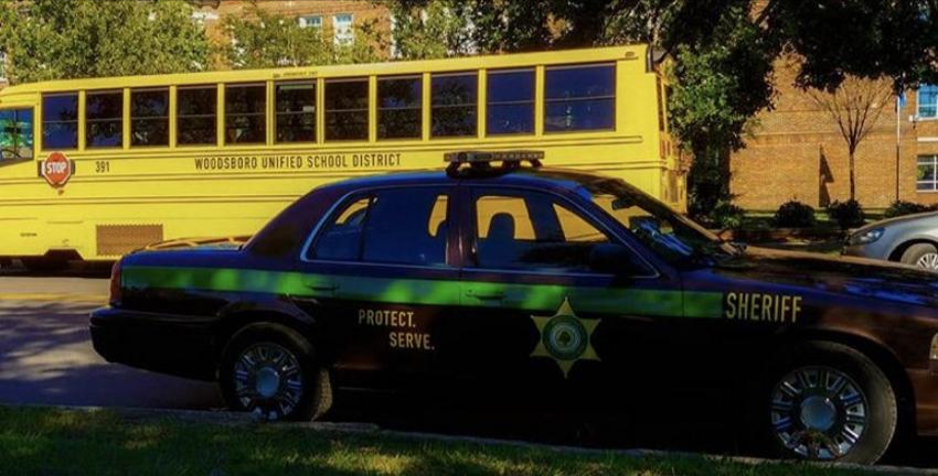 惊声尖叫5剧照的剧照