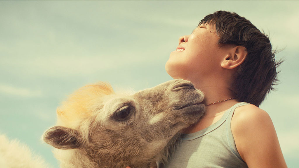 天上的骆驼剧照的剧照