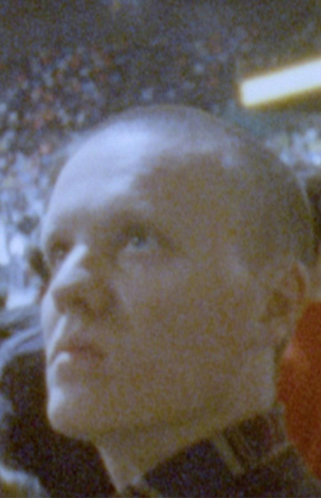 从城堡到城堡剧照的剧照