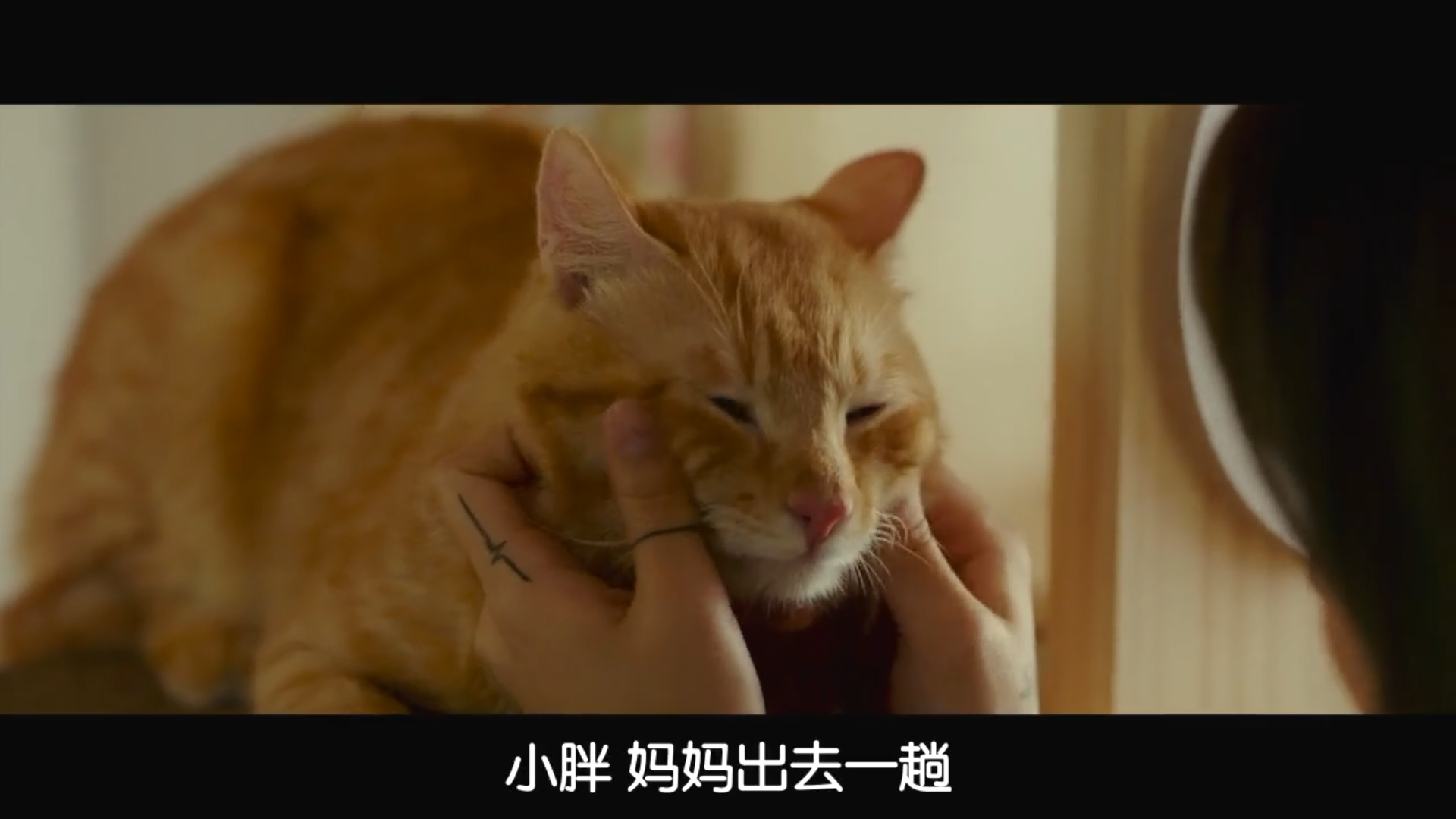 特送剧照的剧照