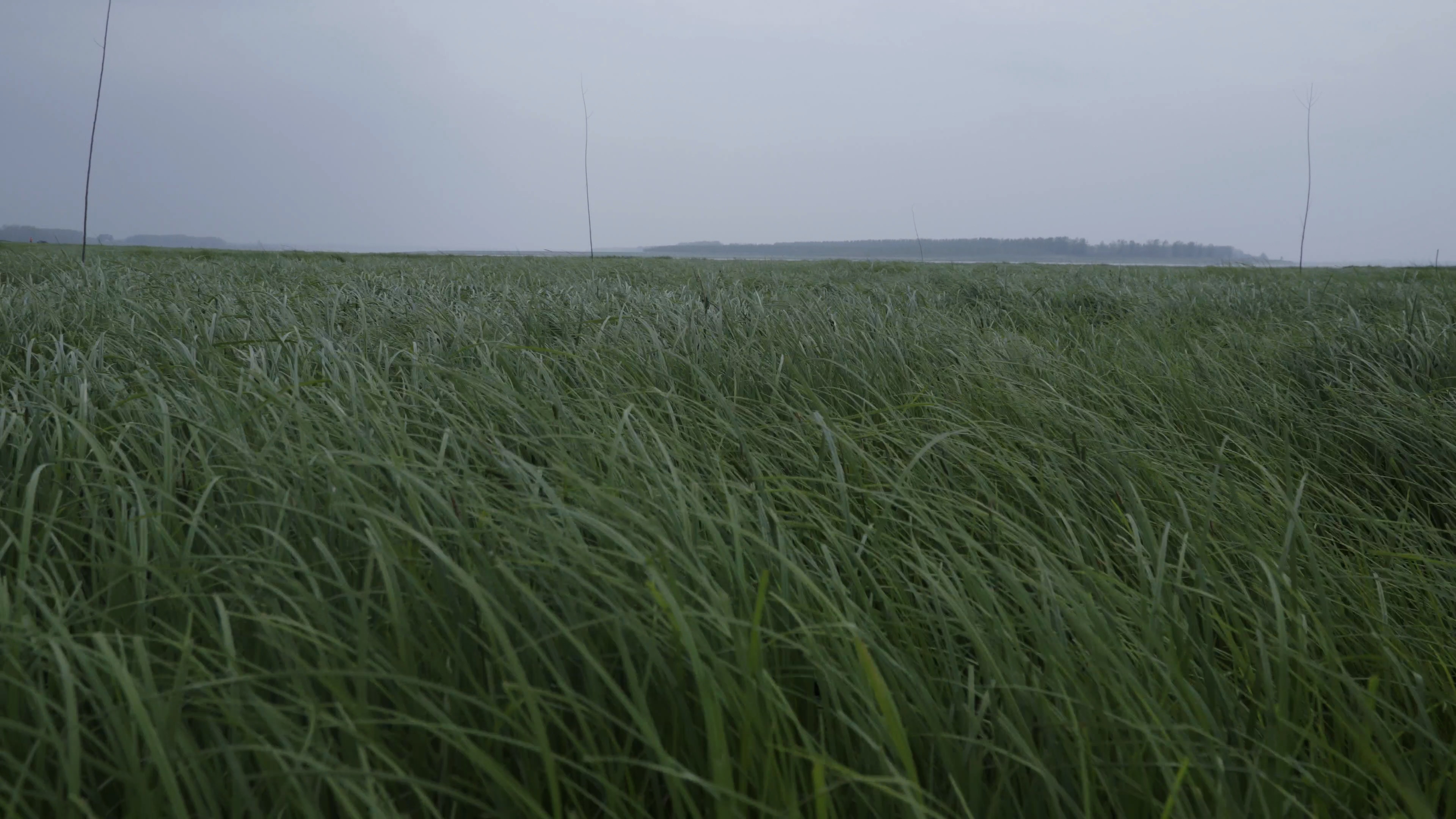 一次别离剧照的剧照