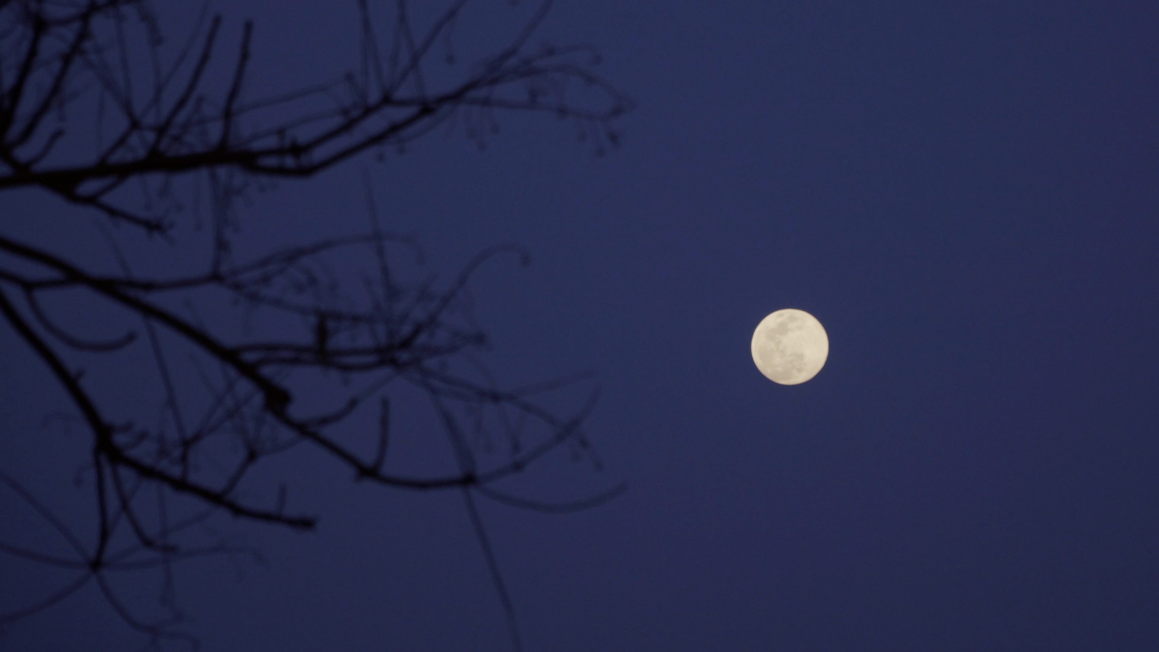 一次别离剧照的剧照