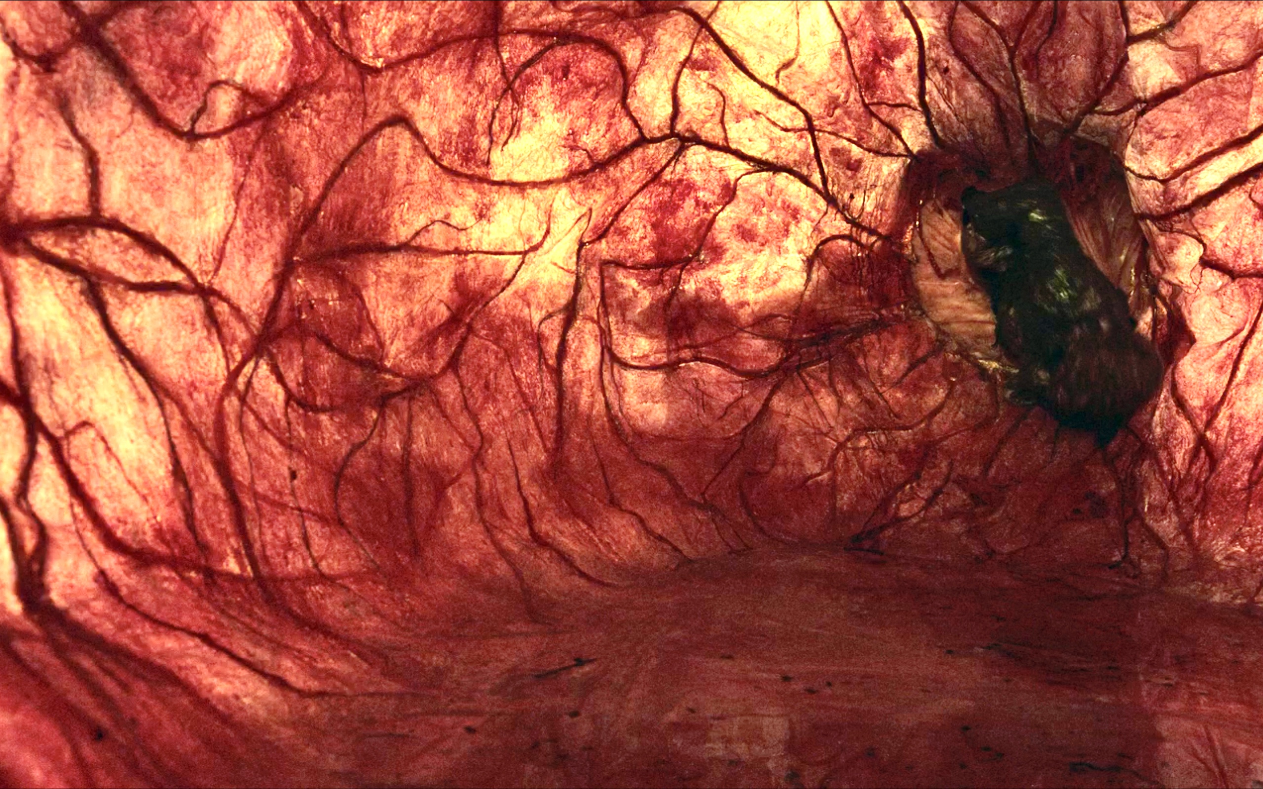 蜿蜒剧照的剧照