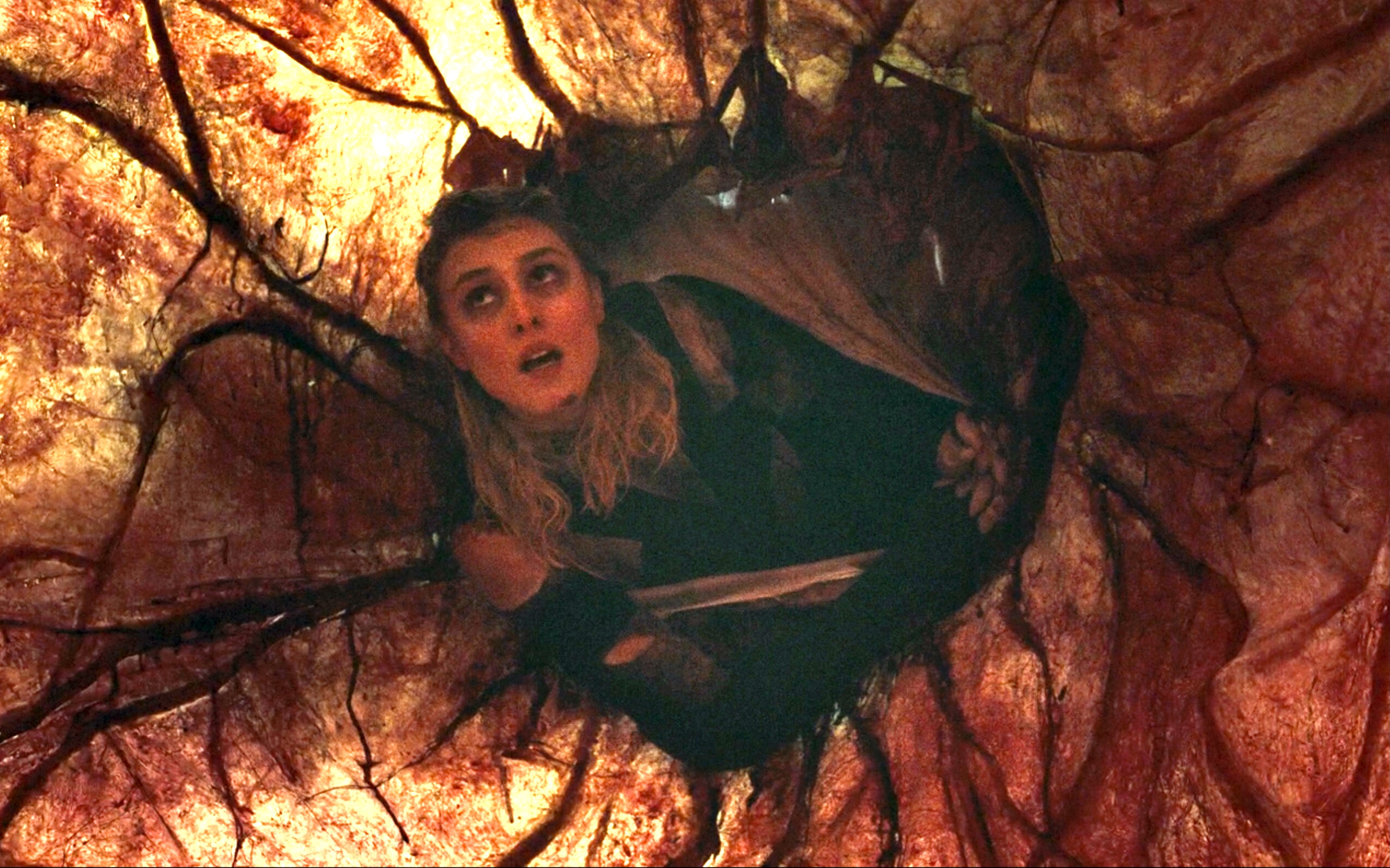 蜿蜒剧照的剧照