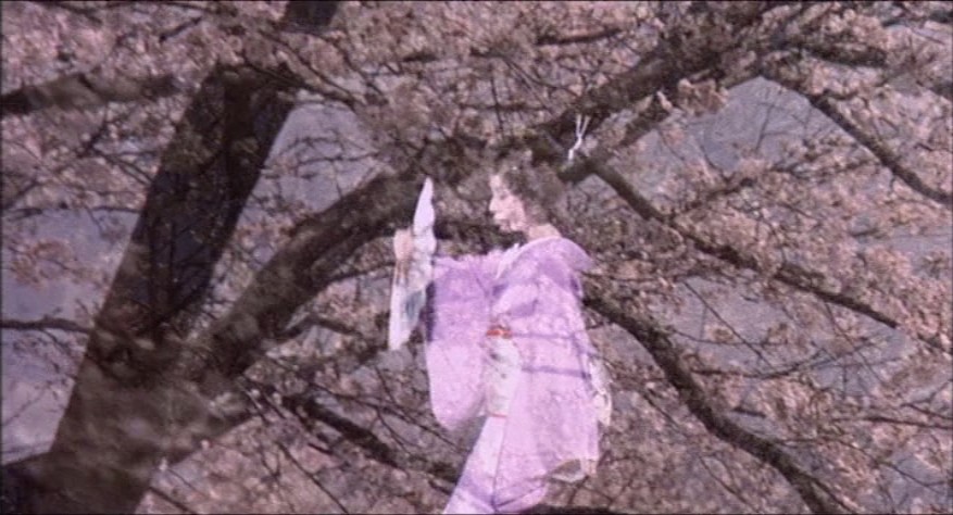 梦千代日记剧照的剧照