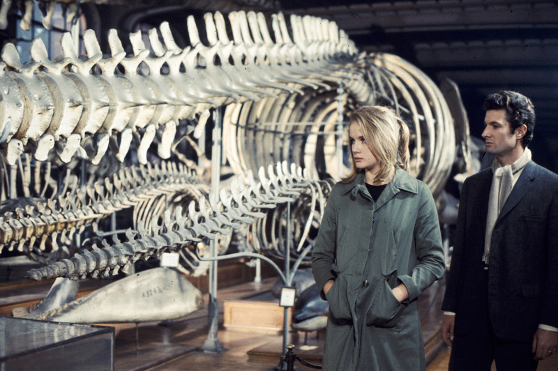 温柔女子剧照的剧照