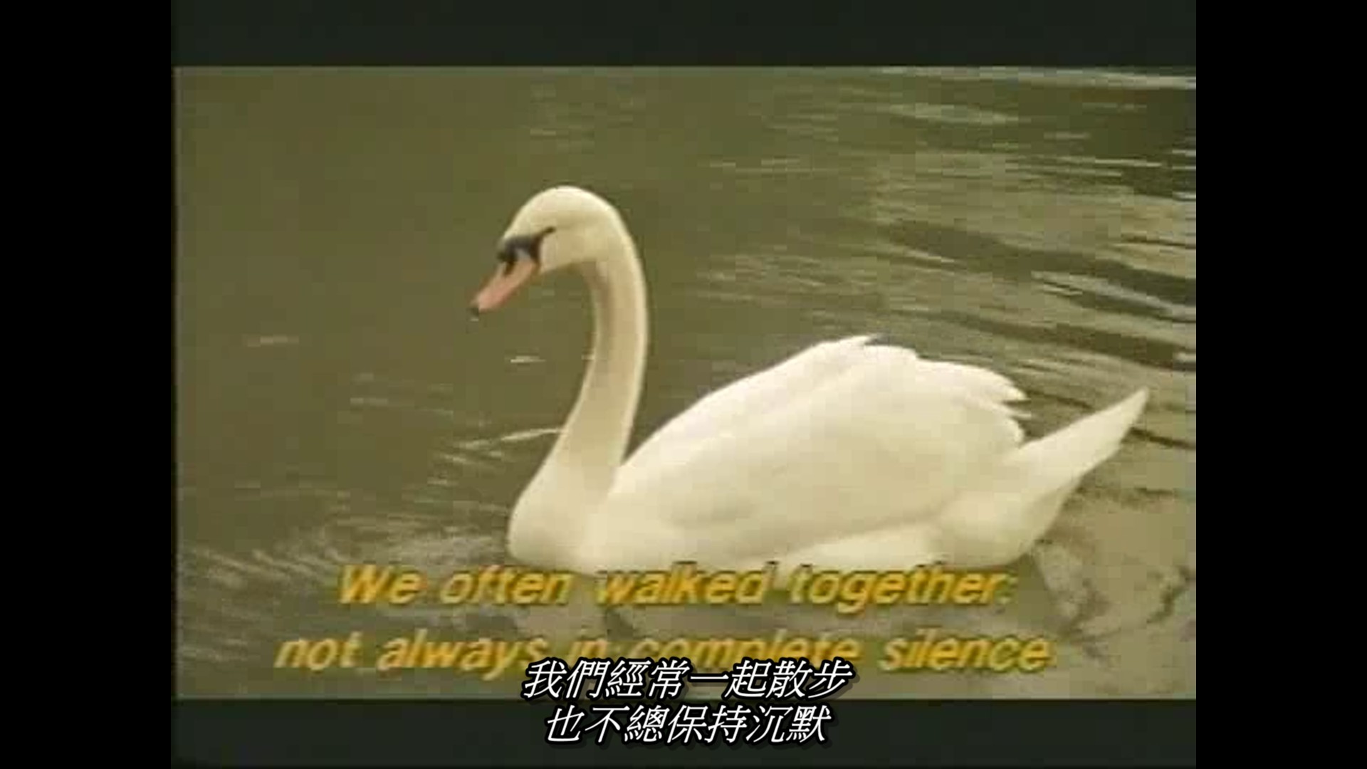 温柔女子剧照的剧照