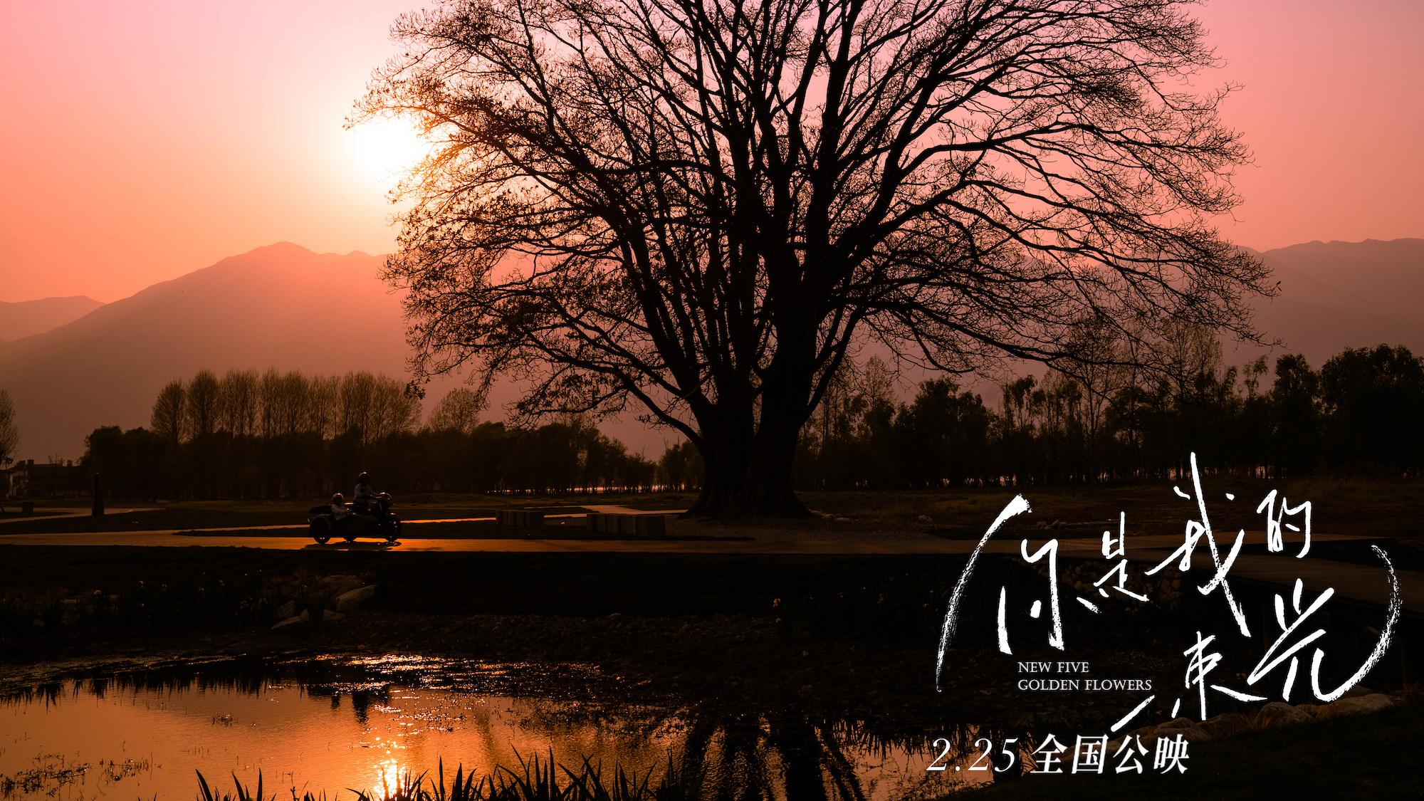 你是我的一束光剧照的剧照