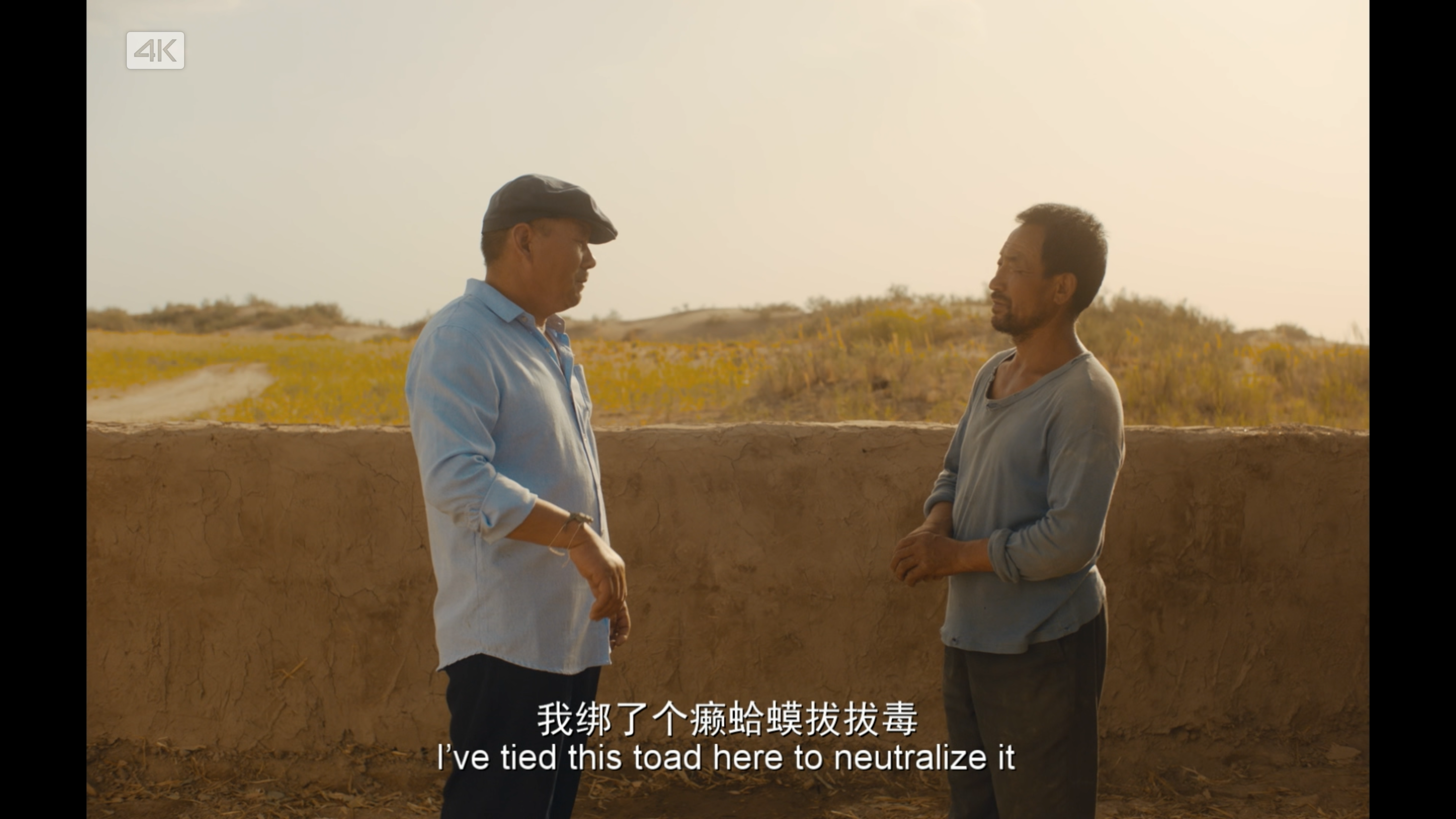 隐入尘烟剧照的剧照