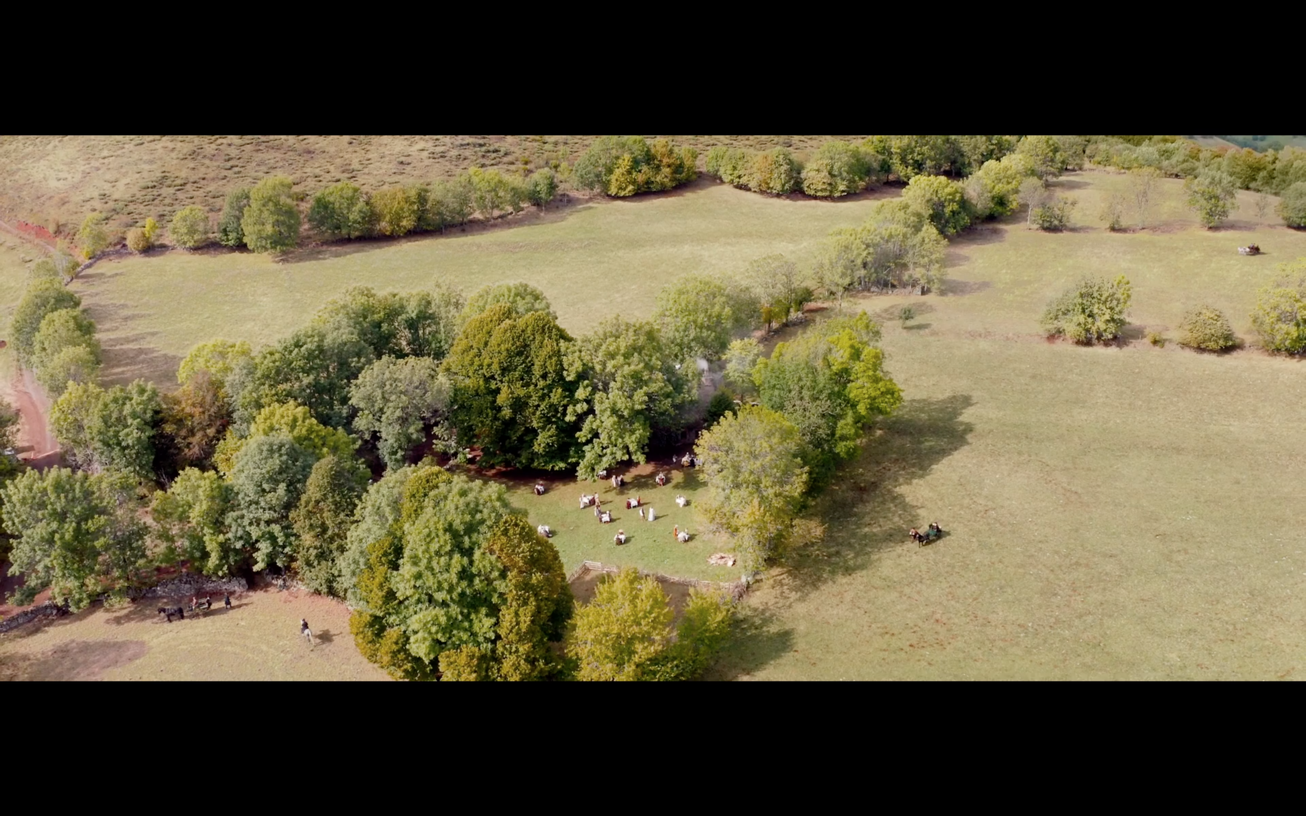 美味奇缘剧照的剧照