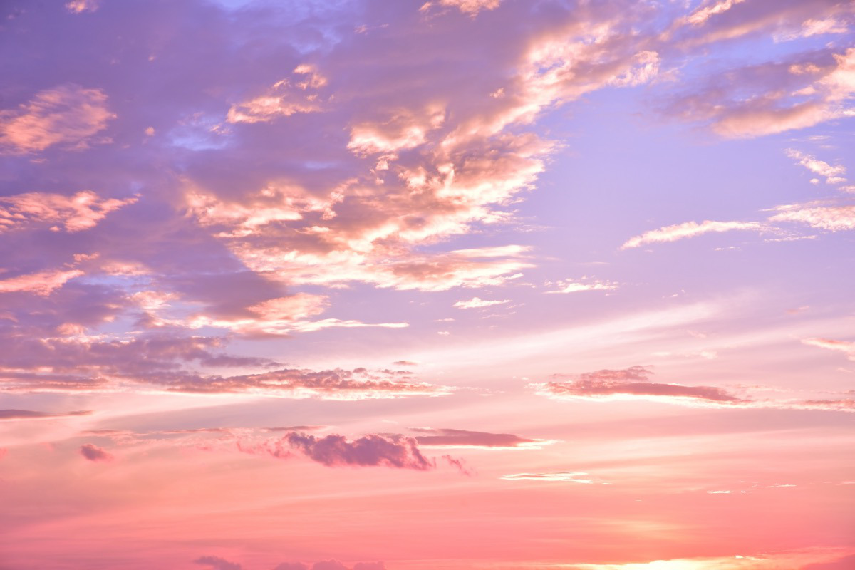 茜色如烧剧照的剧照