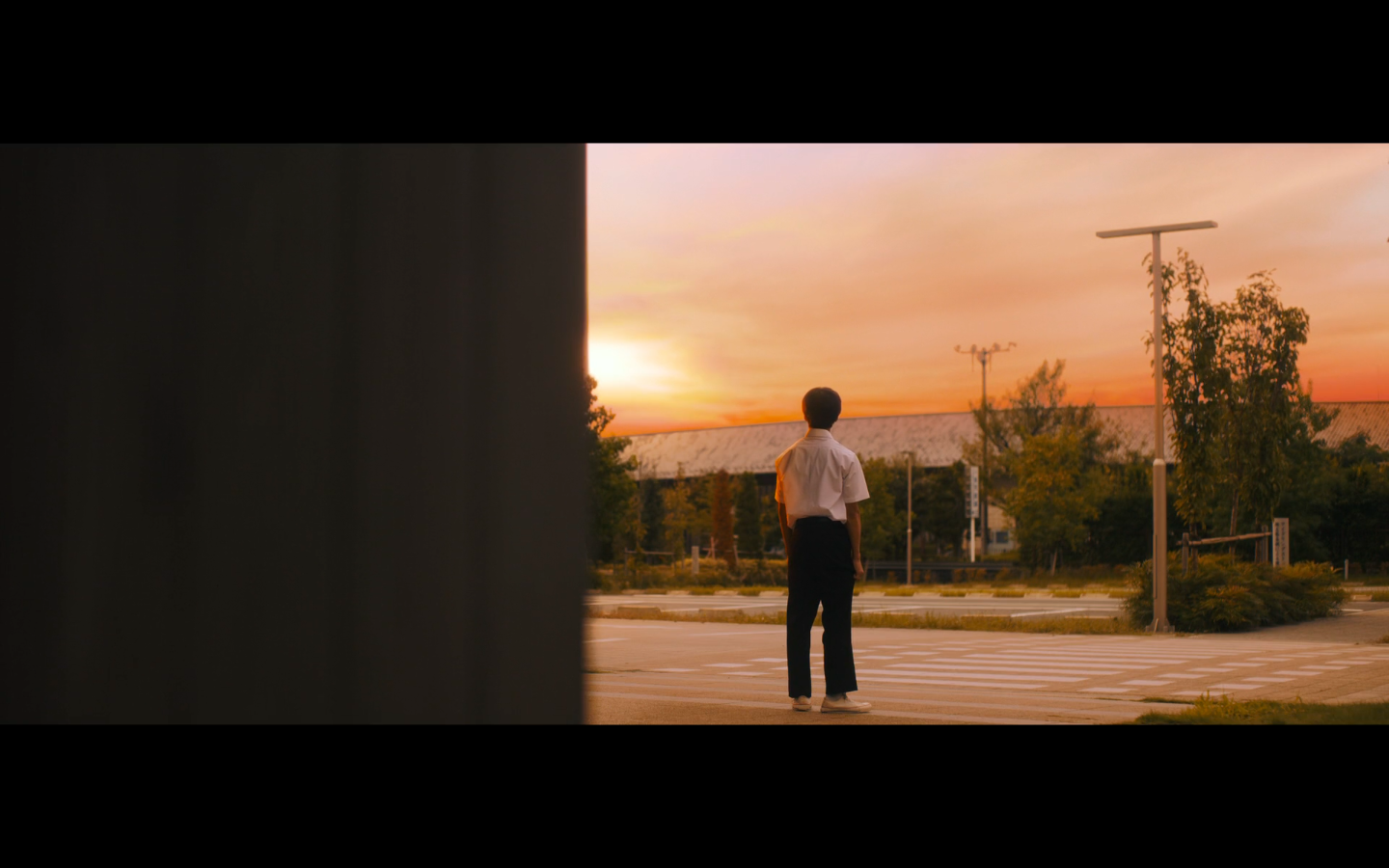 茜色如烧剧照的剧照