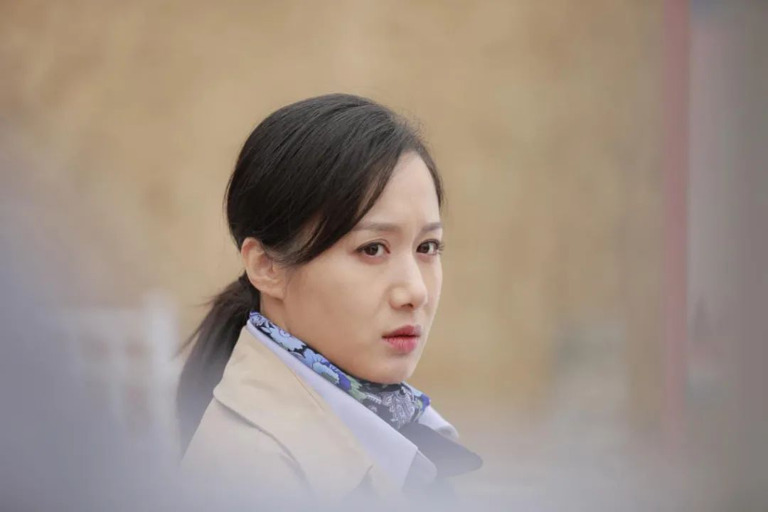 高铁作证剧照的剧照