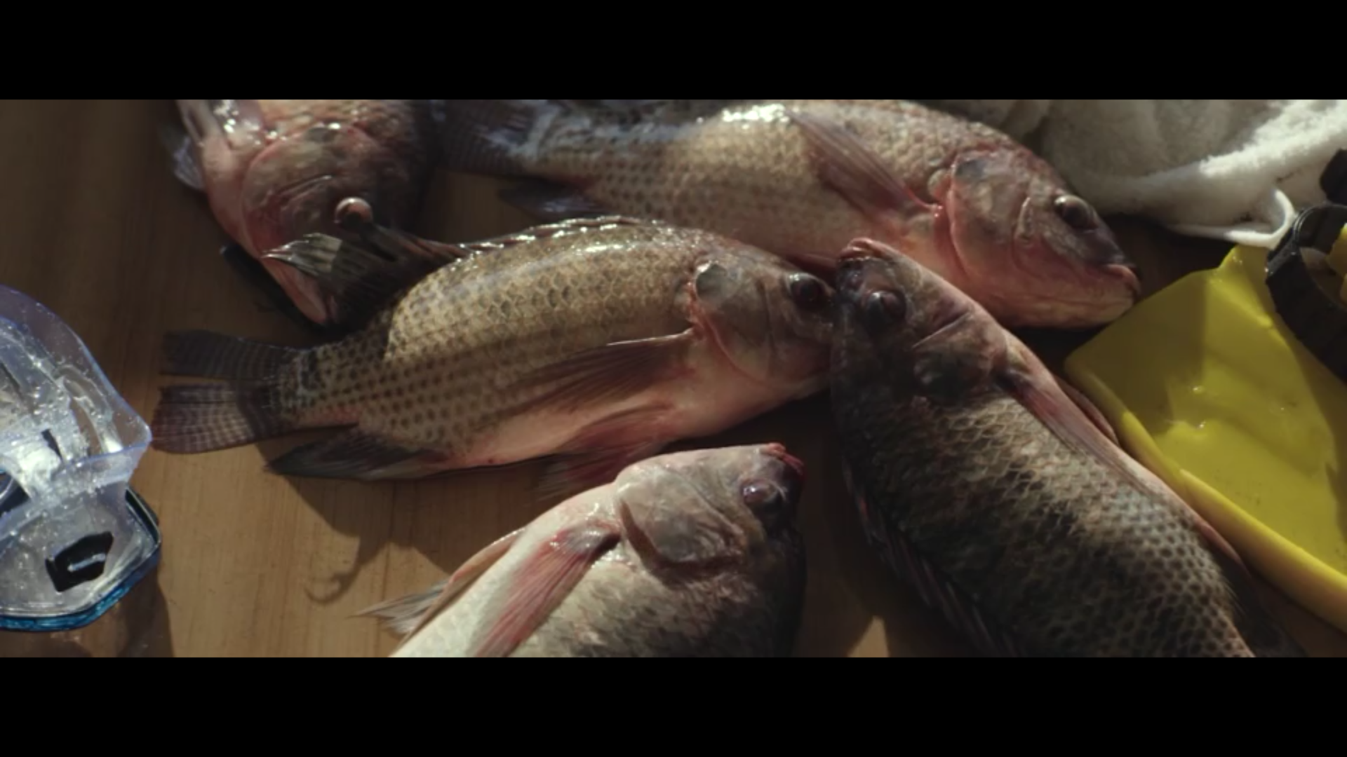 日落剧照的剧照