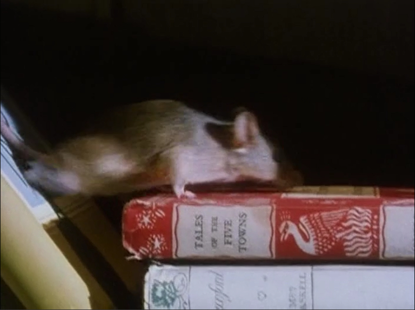 外国学生宿舍谋杀案剧照的剧照