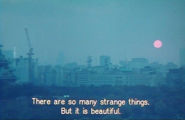 被画的容颜剧照的剧照