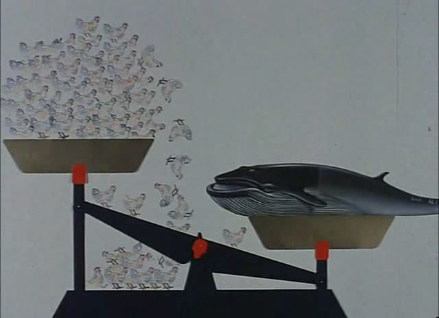 繁花岛剧照的剧照